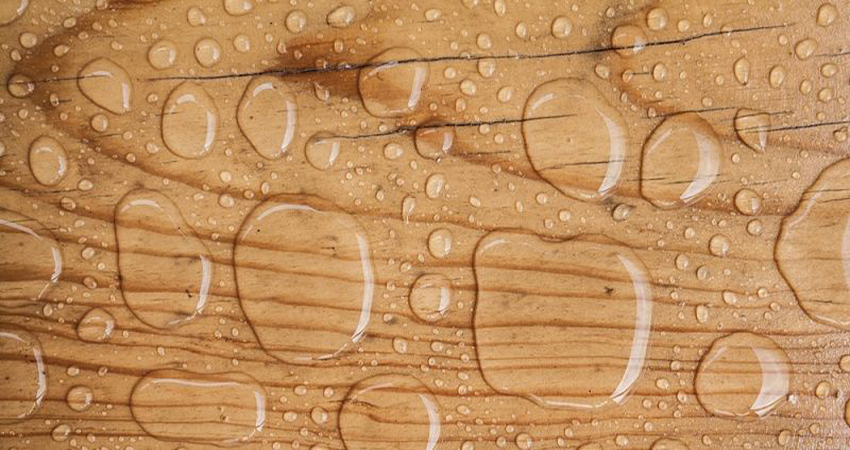 Did You Know Waterproof Plywood is the Best Choice All Year Round?