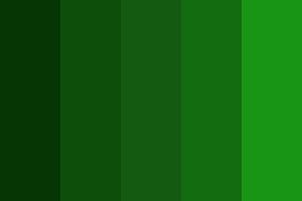 HEX Color Terminal Green