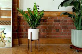 Plant Stand Indoor