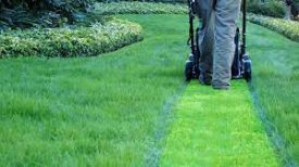 The Ultimate Guide to Lawn Care: Tips and Tricks for a Perfect Lawn