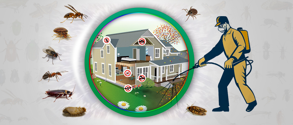 Pest Management and Termite Control