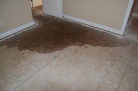 How to fix Water Damage Under Tile Floor