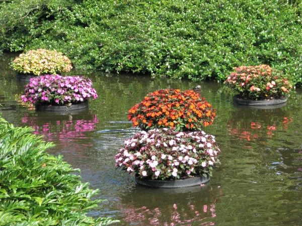A Guide to Choosing the Right Floating Planter