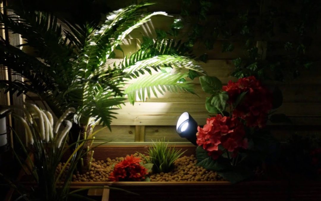 Illuminate Your Garden with Focus Lights: A Comprehensive Guide