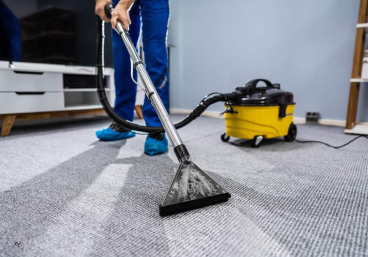 Floor Mat Cleaner: A Guide to Spotless Spaces