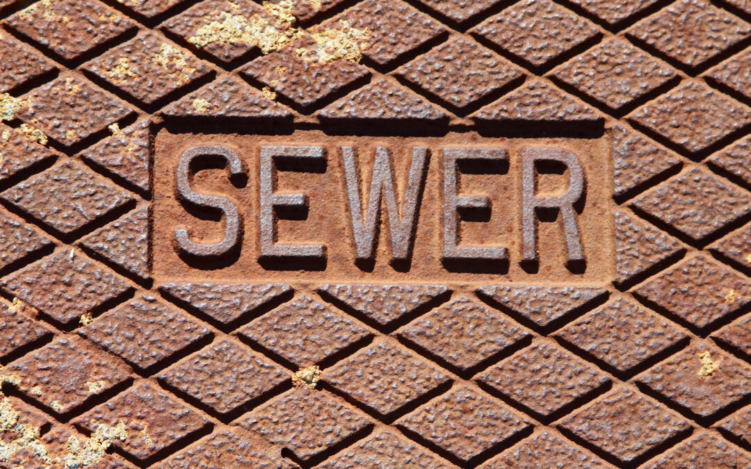 How to Spot a Potential Sewer Line Problem Before It's Too Late