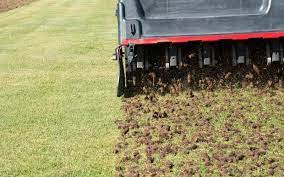 Revive Your Lawn: 5 Can’t-Miss Benefits of Aeration