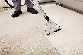 Top 5 Questions People Have About Professional Carpet Cleaning