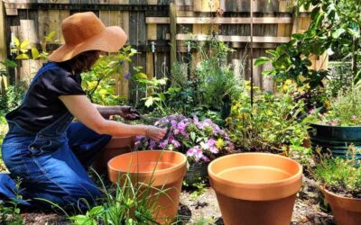 Gardening: Cultivating Nature’s Beauty