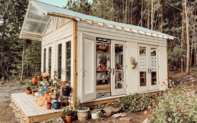 Step-by-Step: Building Your Dream Greenhouse Shed: A Complete Overview