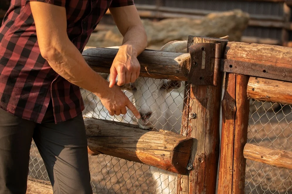 chain link fence posts